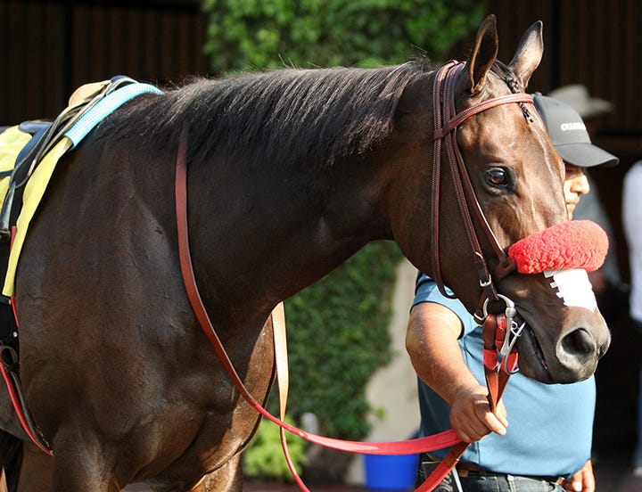 Ollie's Candy, Roadster top Saturday work tab